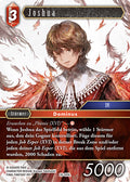 Final Fantasy Opus 26-009 L Joshua Feuer